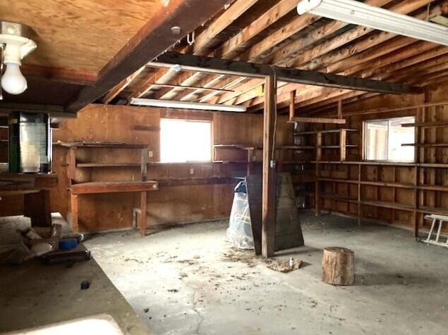 Picture 15