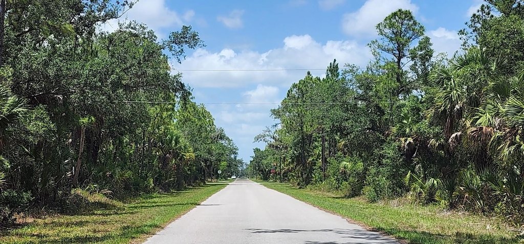 Picture 16