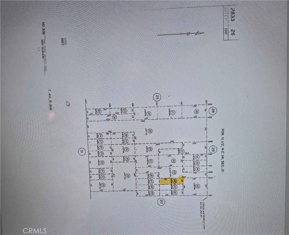 Picture 3