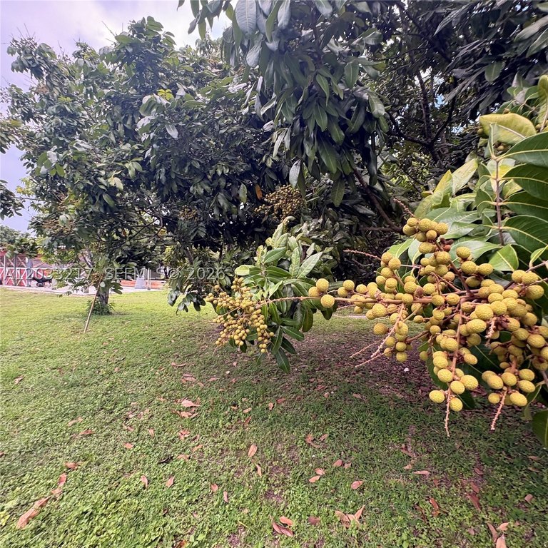 Picture 26