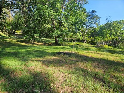Secluded Paradise Land with Creek