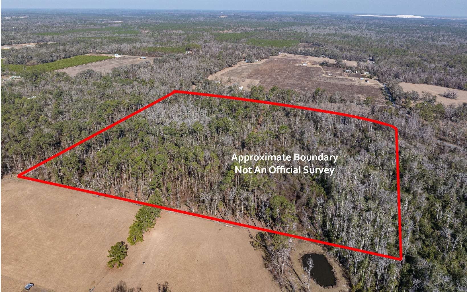 Heavily Wooded Acreage Near Live Oak