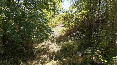 Land with Barns in Galion