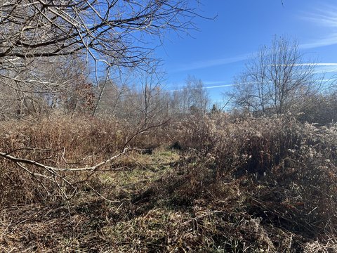 Rockport Land in Desirable Neighborhood