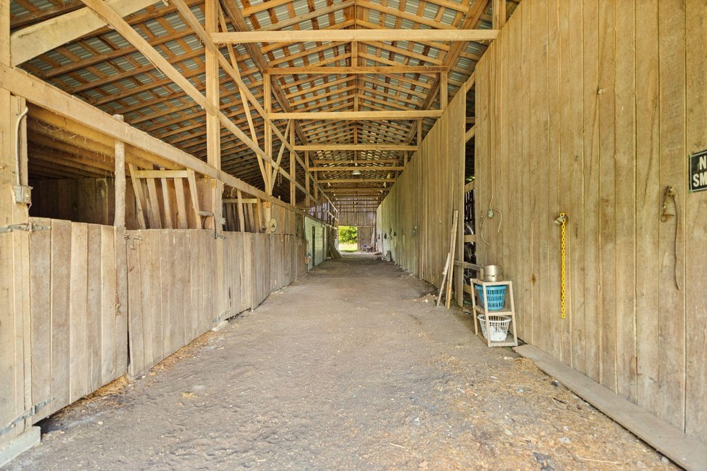 Picture 20