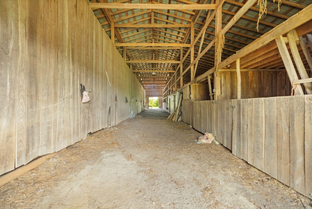 Picture 24