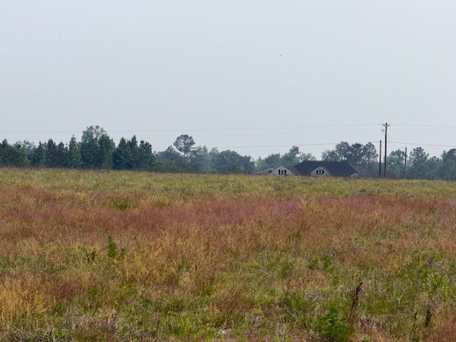 Picture 12
