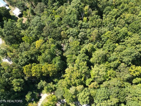Lots & Acreage, Rockwood, TN