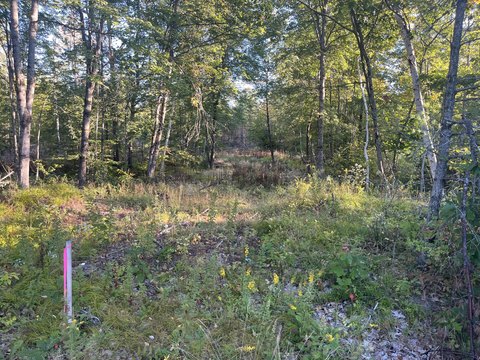 Land, Naples, ME