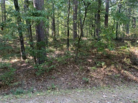 Vacant Land, Hot Springs Village, AR