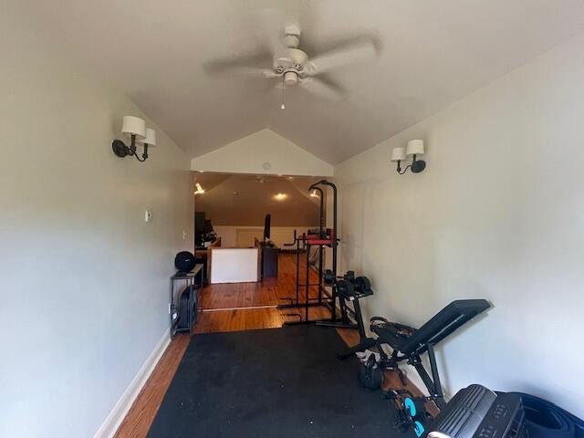 Picture 47