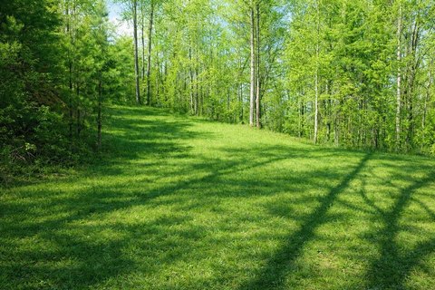Land with Mountain Views