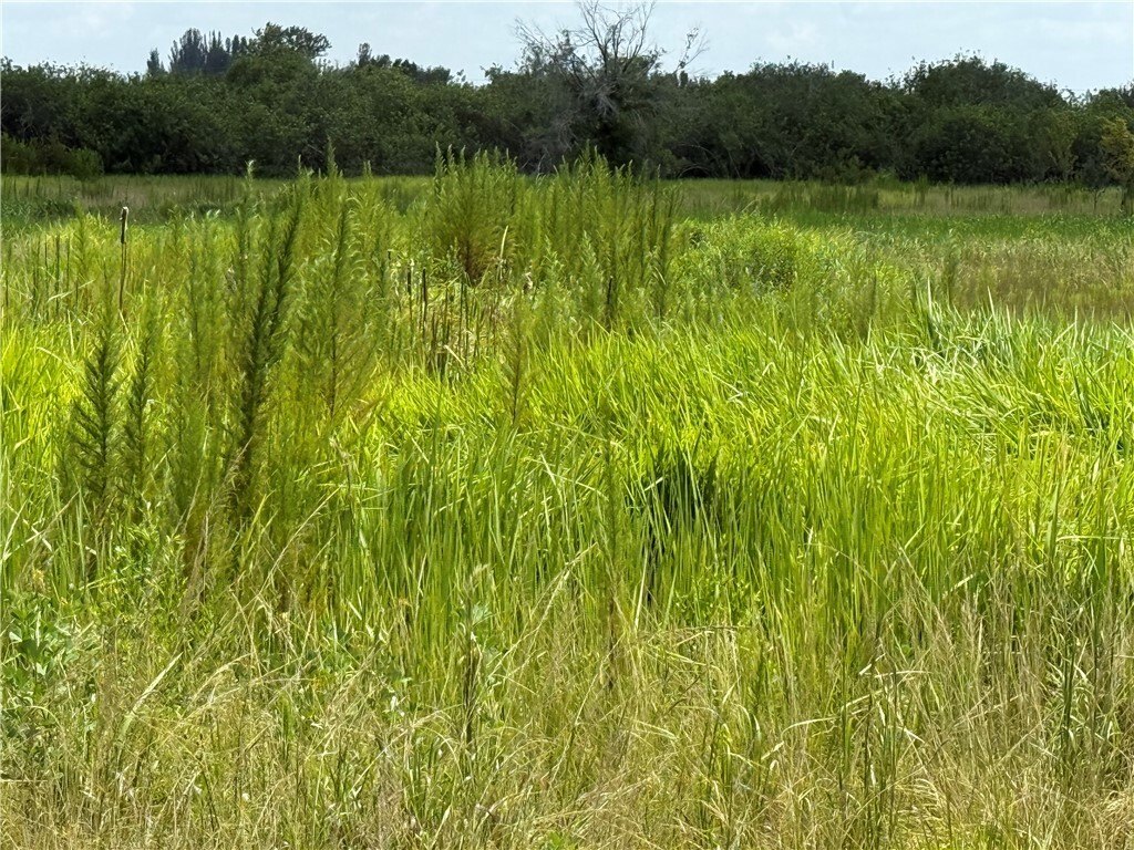 Picture 10