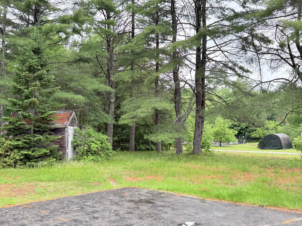 Picture 4