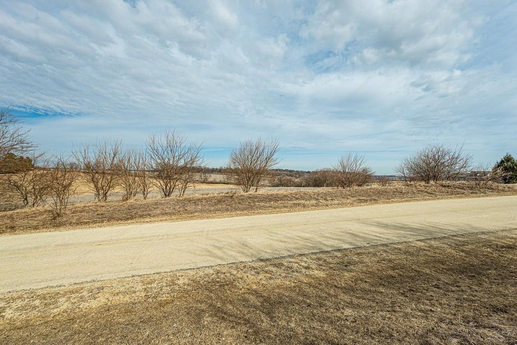 Picture 19