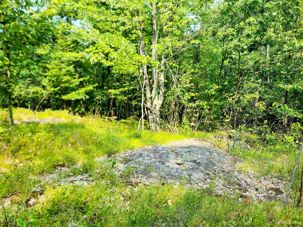 Picture 10