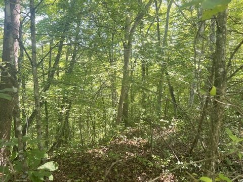 Land, Franklin, NC