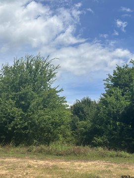 LAND - Ben Wheeler, TX