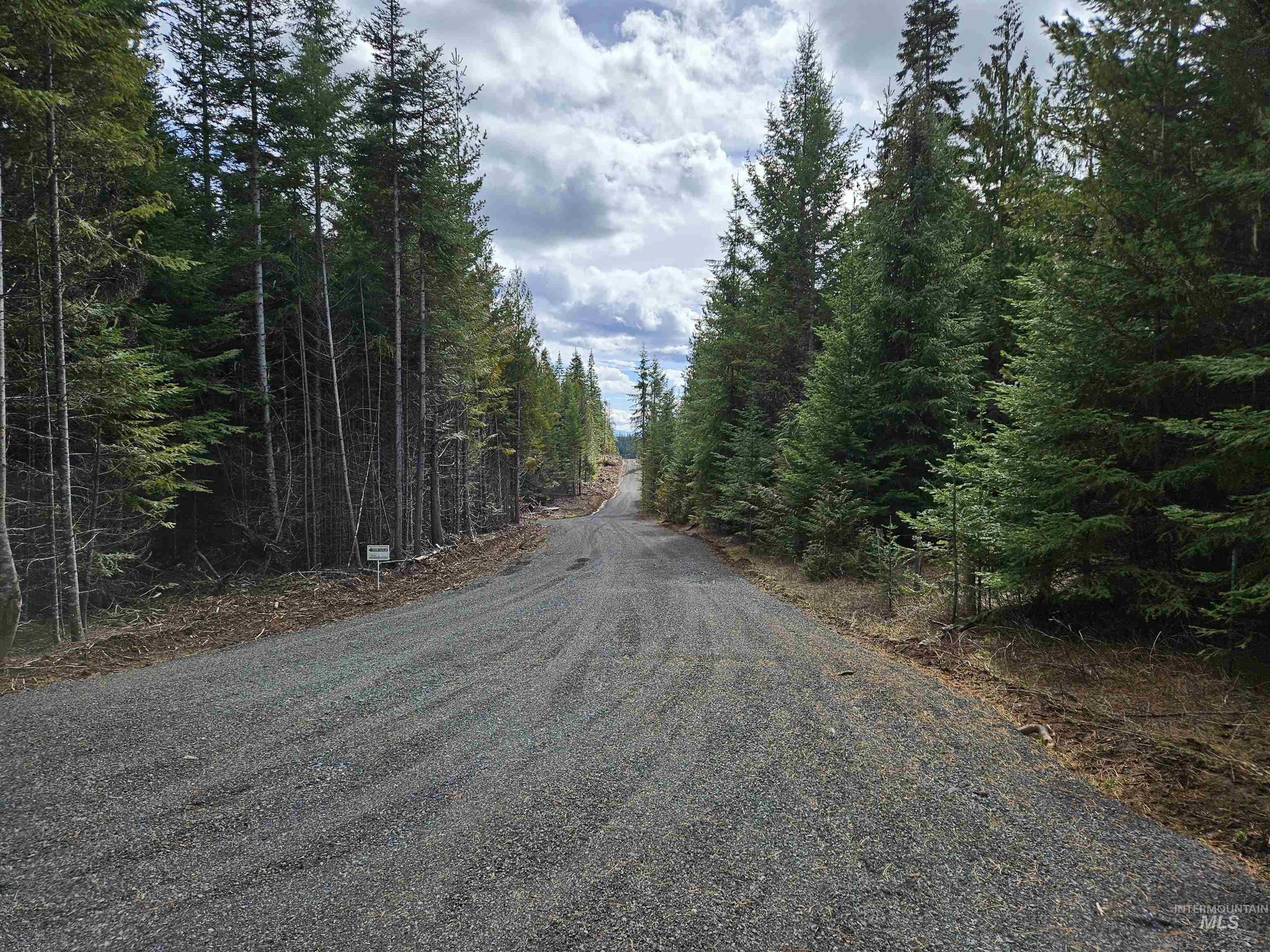 Idaho Timbered Recreational Land