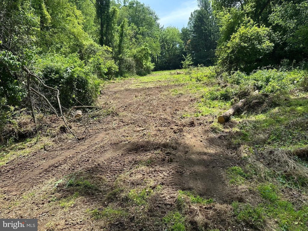 Picture 24