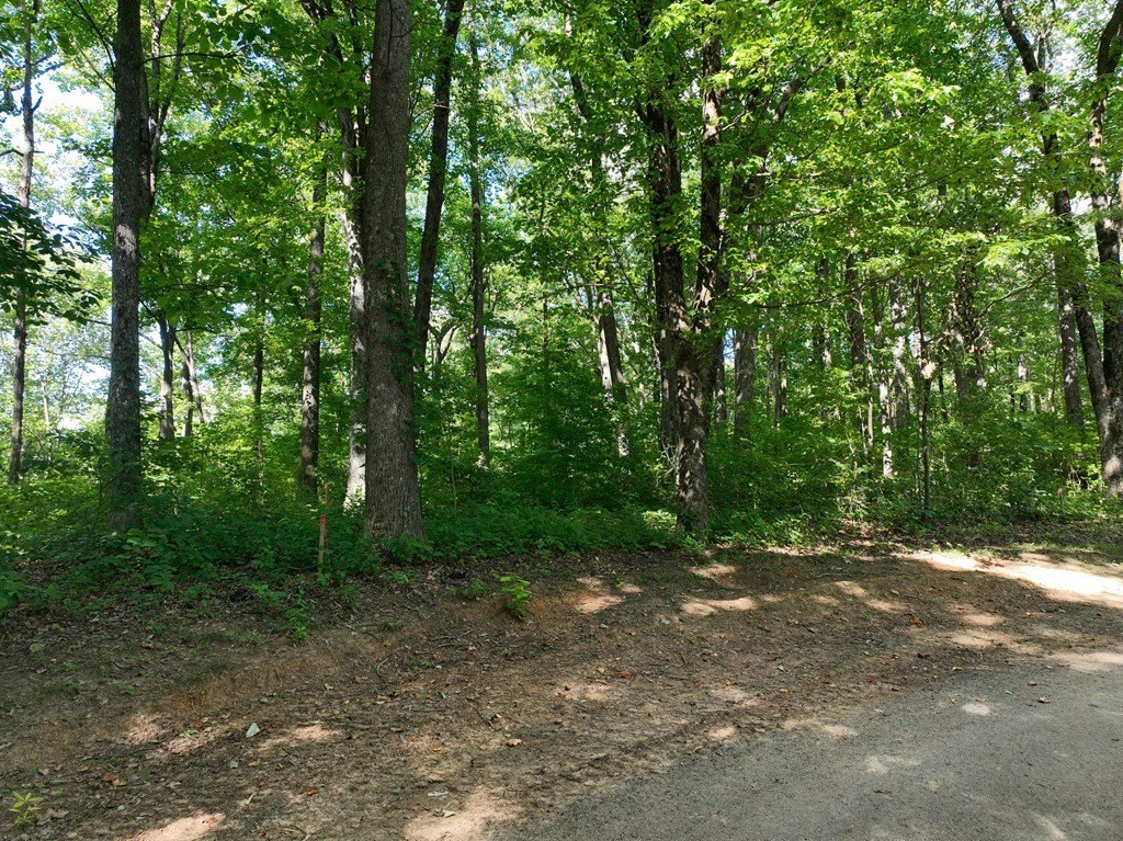 Picture 30
