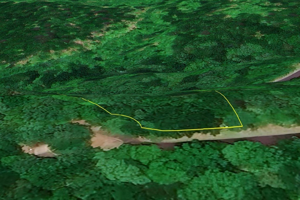 Picture 23