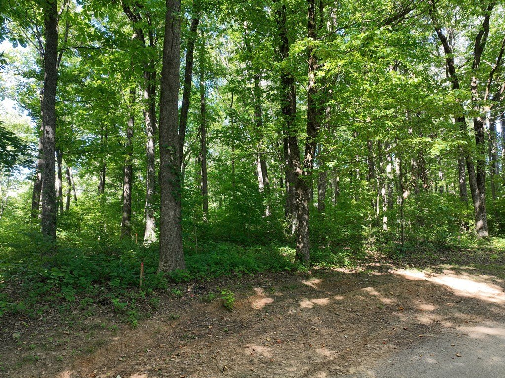 Picture 17