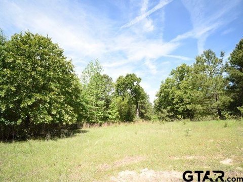 Wooded Cul-de-Sac Lot