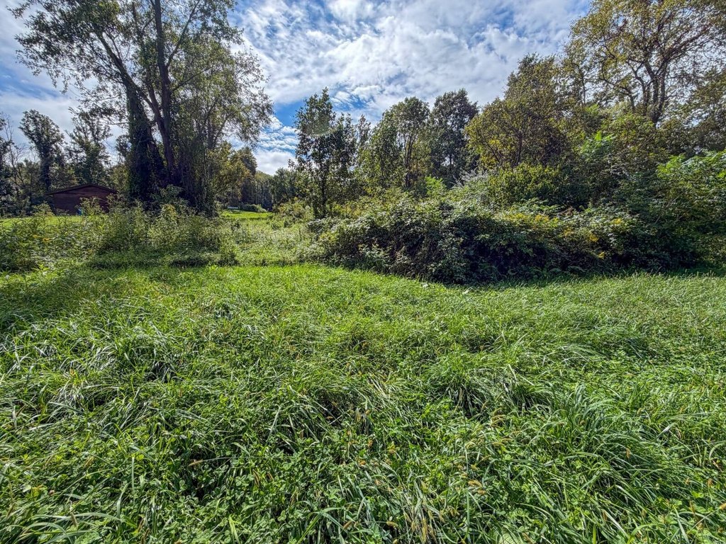 Picture 14