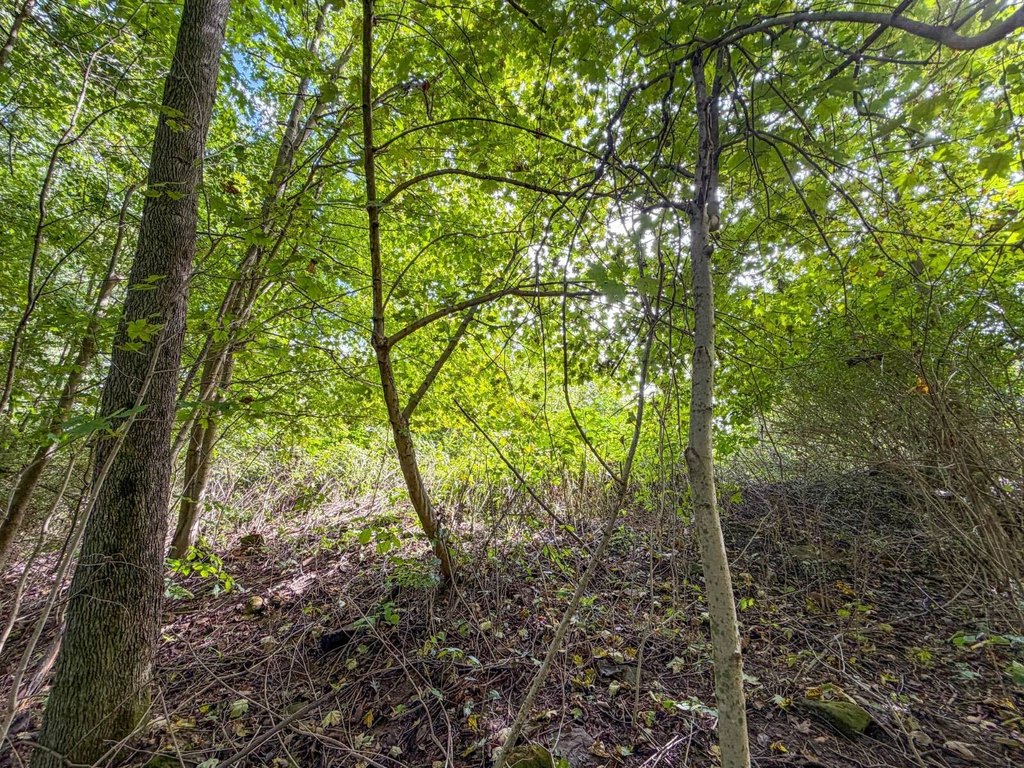 Picture 22