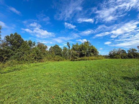 Land, Bellaire, OH