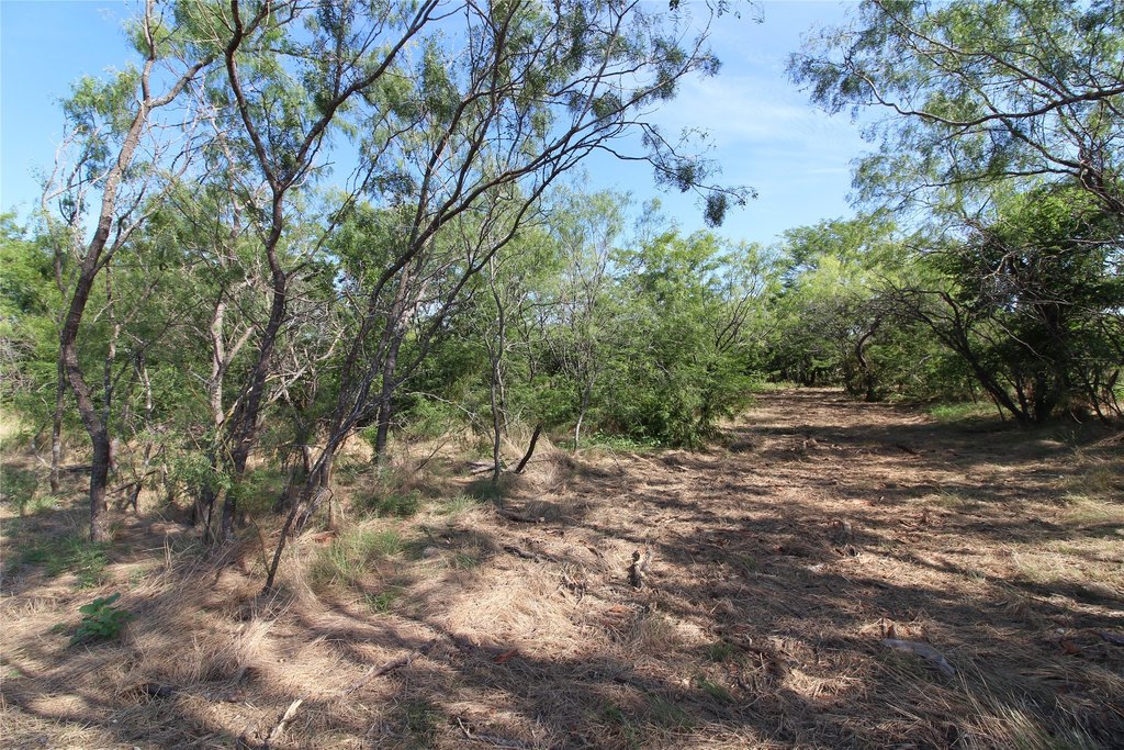 Picture 9