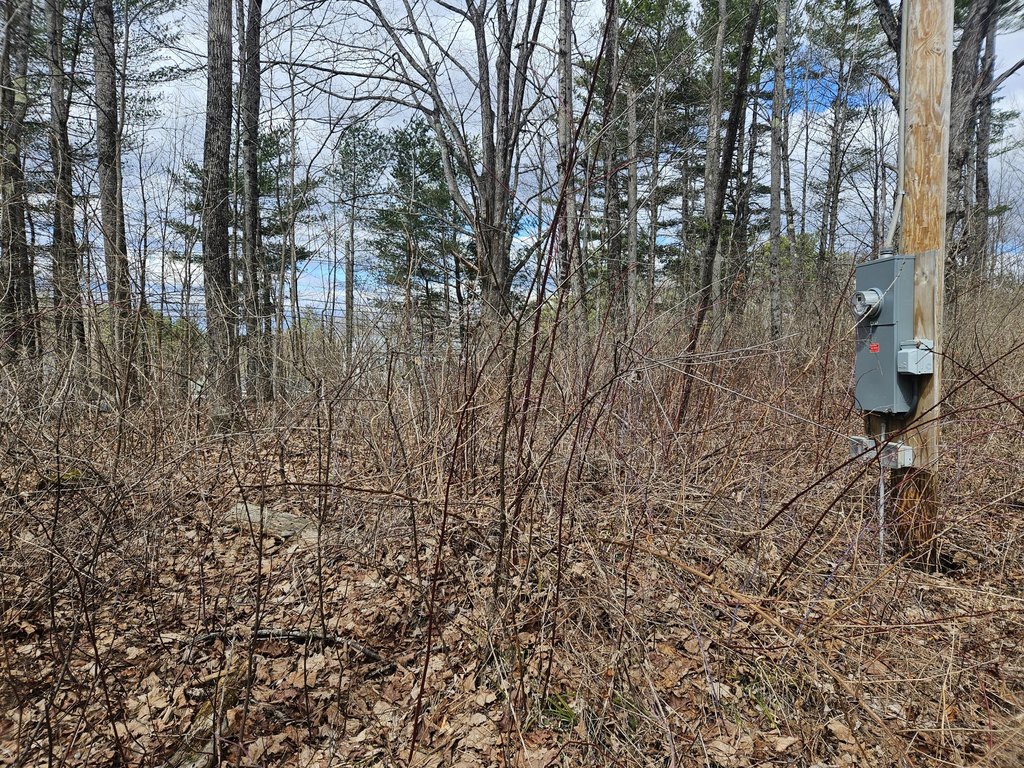 Picture 14