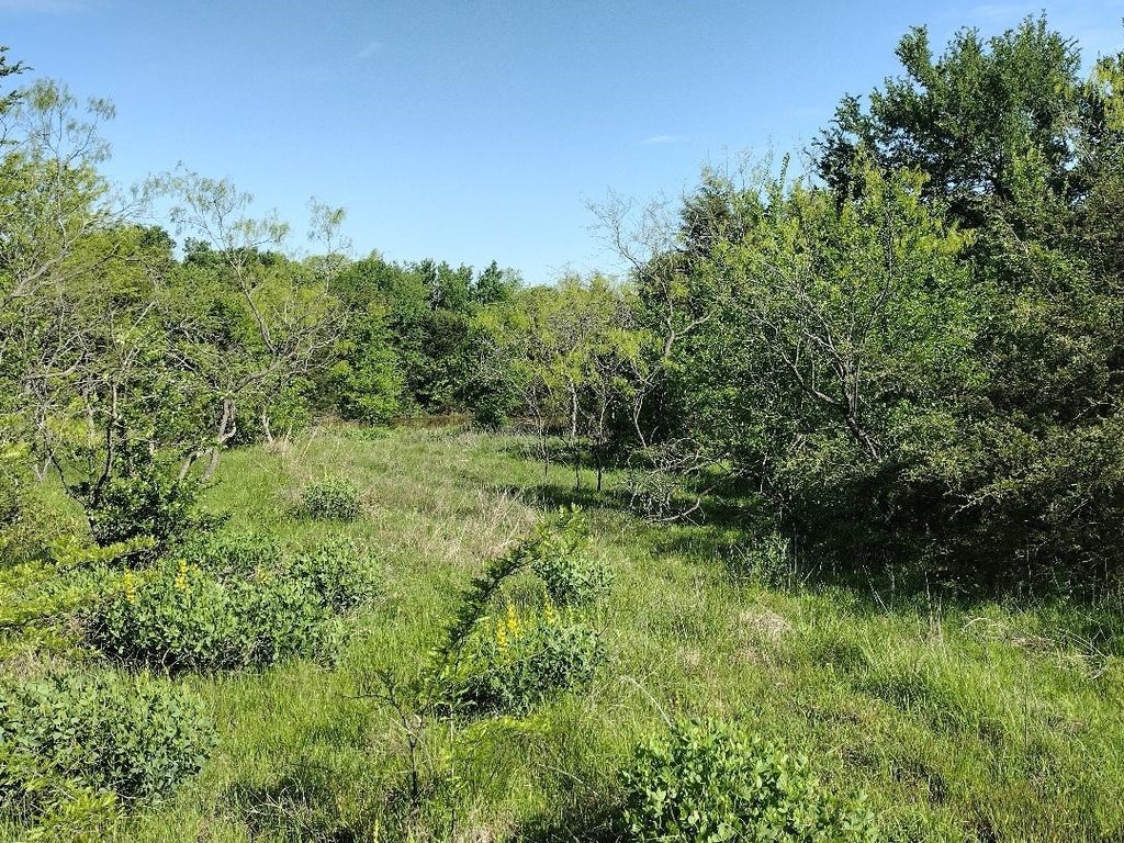 Picture 10