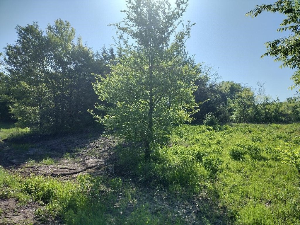 Picture 7
