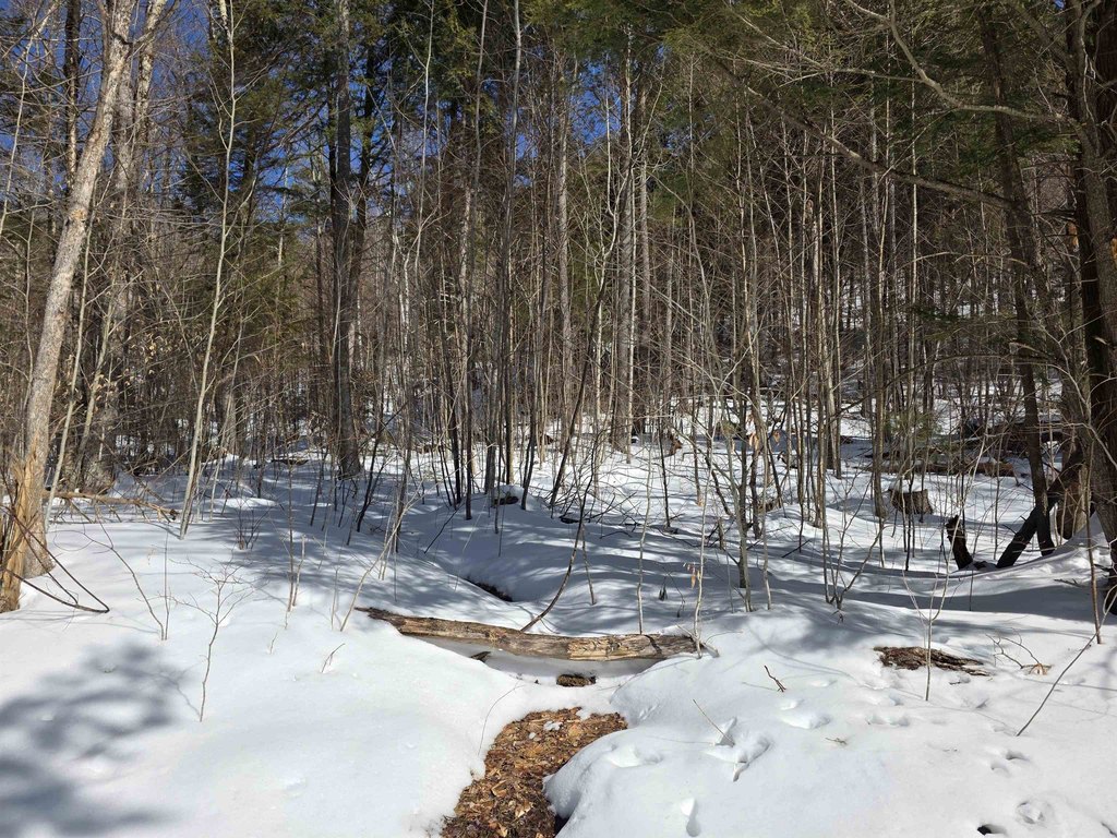 Picture 39