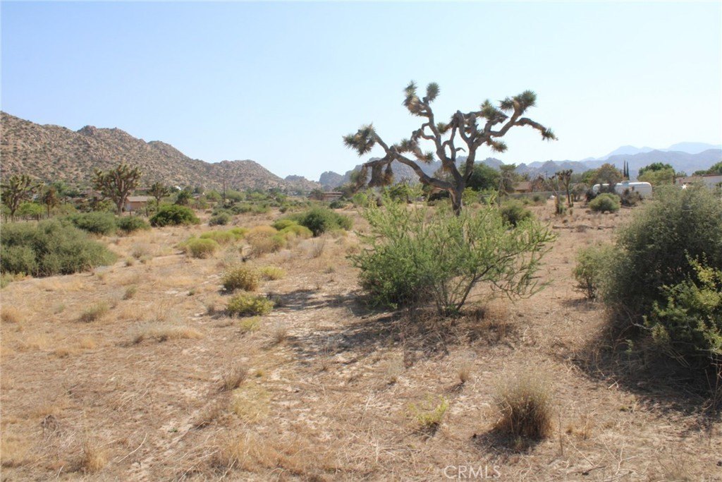 Picture 6