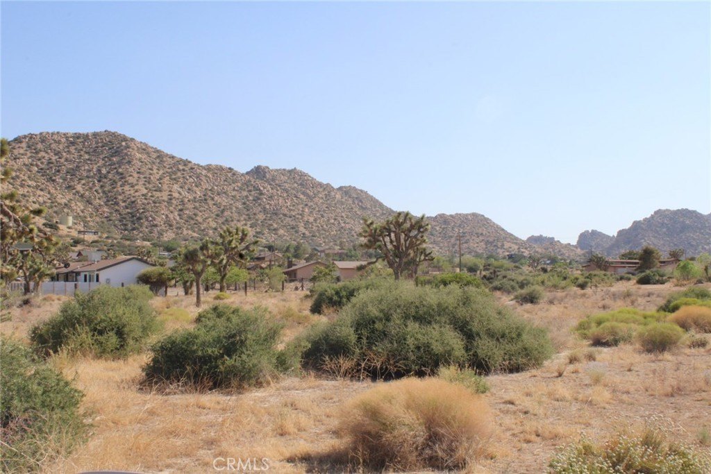 Picture 5