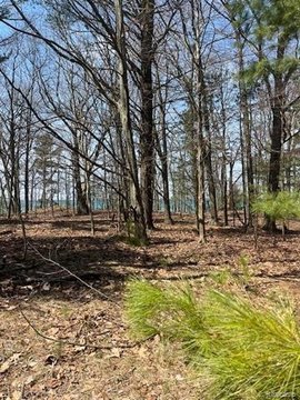 Lake Michigan Wooded Waterfront Land