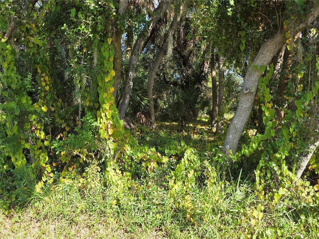 Picture 4