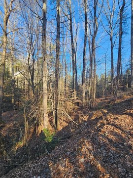 Unimproved Mountain Resort Lot