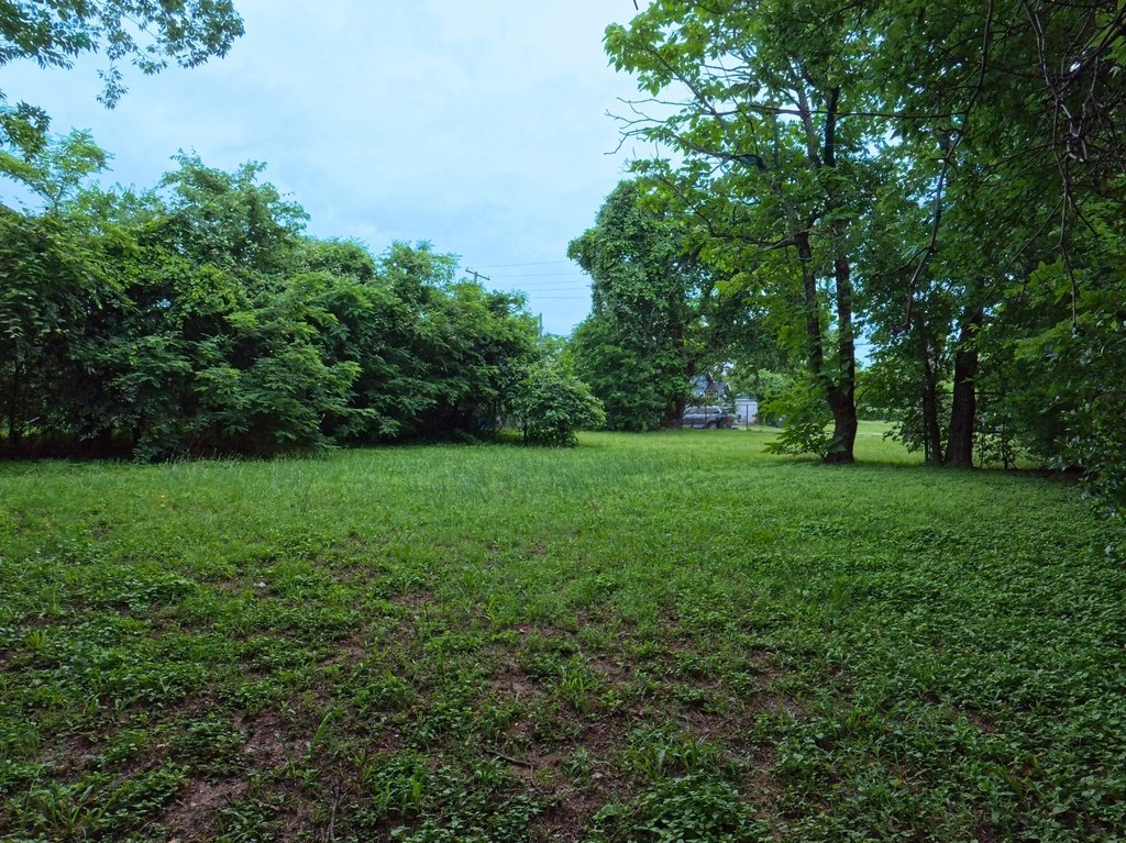 Picture 8