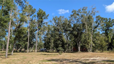 Land, MC ALPIN, FL
