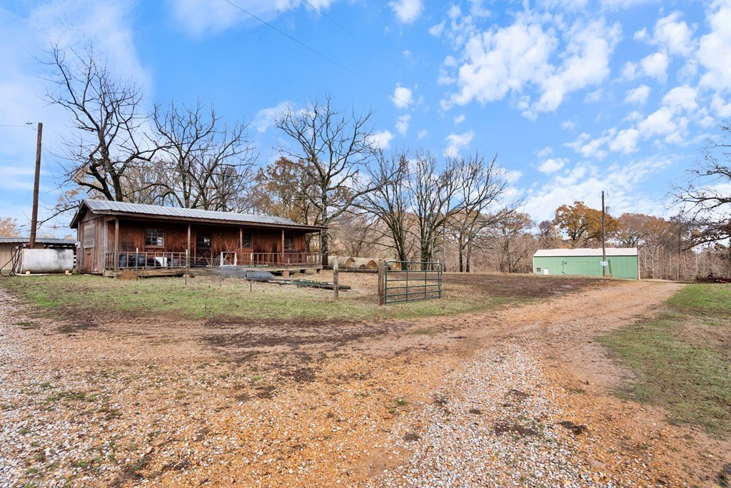 Picture 98