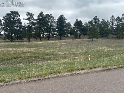 Colorado Springs Treed Lot