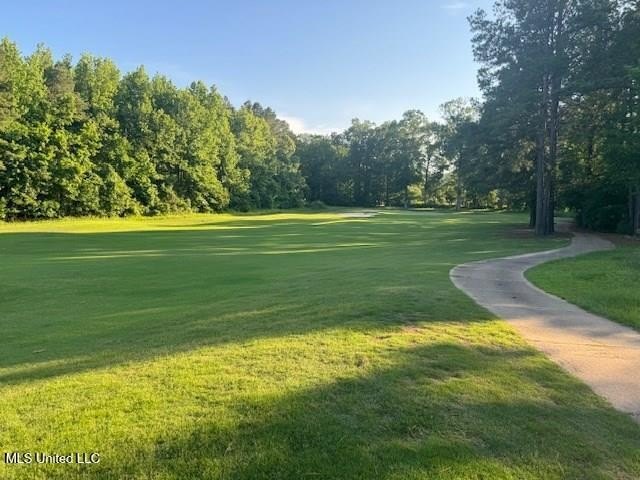 40 Acres Prime Development Land