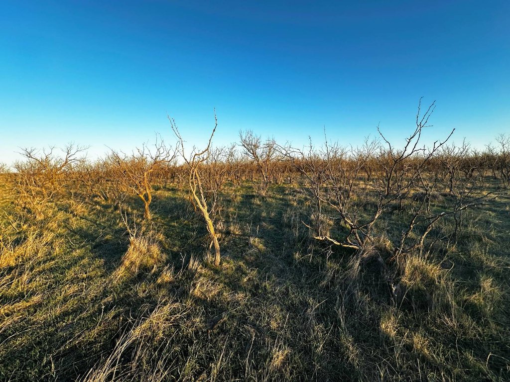 Picture 20