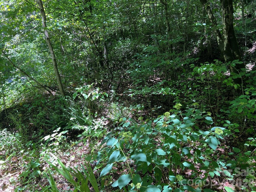 Picture 13