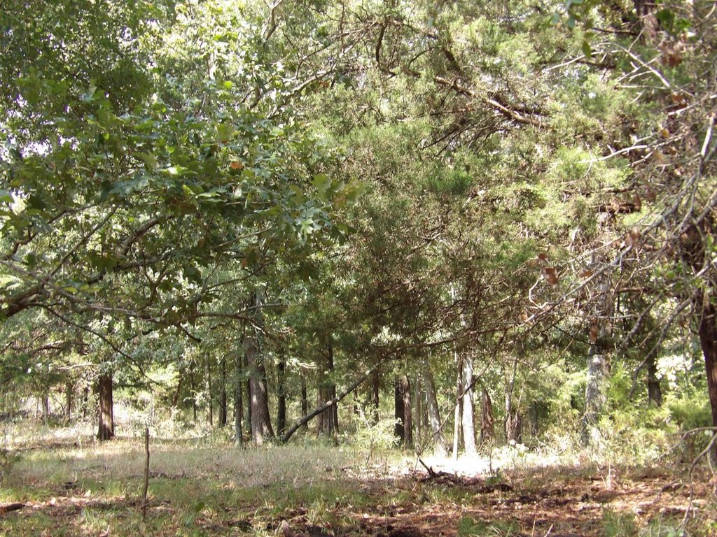 Picture 17