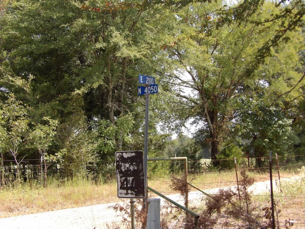 Picture 36